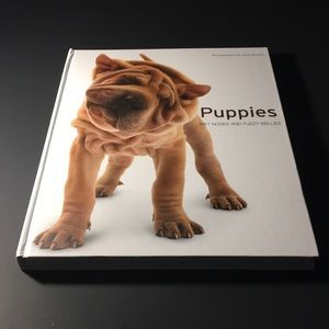 Puppies. Wet noses and fuzzy bellies